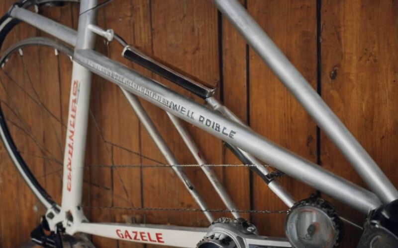Jak sprawdzić rok produkcji roweru Gazelle